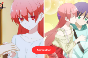 Animeidhen